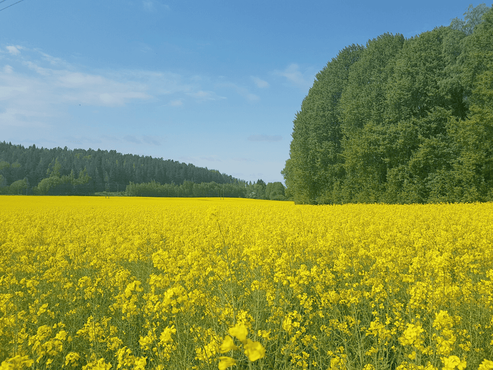Robust svensk beredskap
